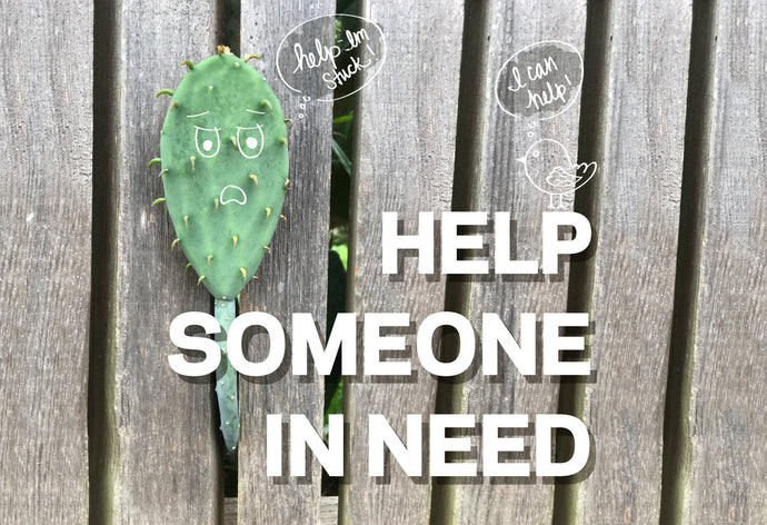 DONATE TO A CHARITY