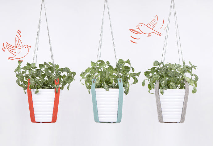 NEW FELT PLANT HANGER