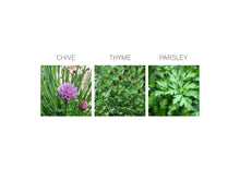 HERB SEED DROPS - FRENCH