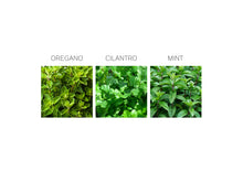 HERB SEED DROPS - MEXICAN