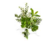 HERB SEED DROPS - MEDITERRANEAN