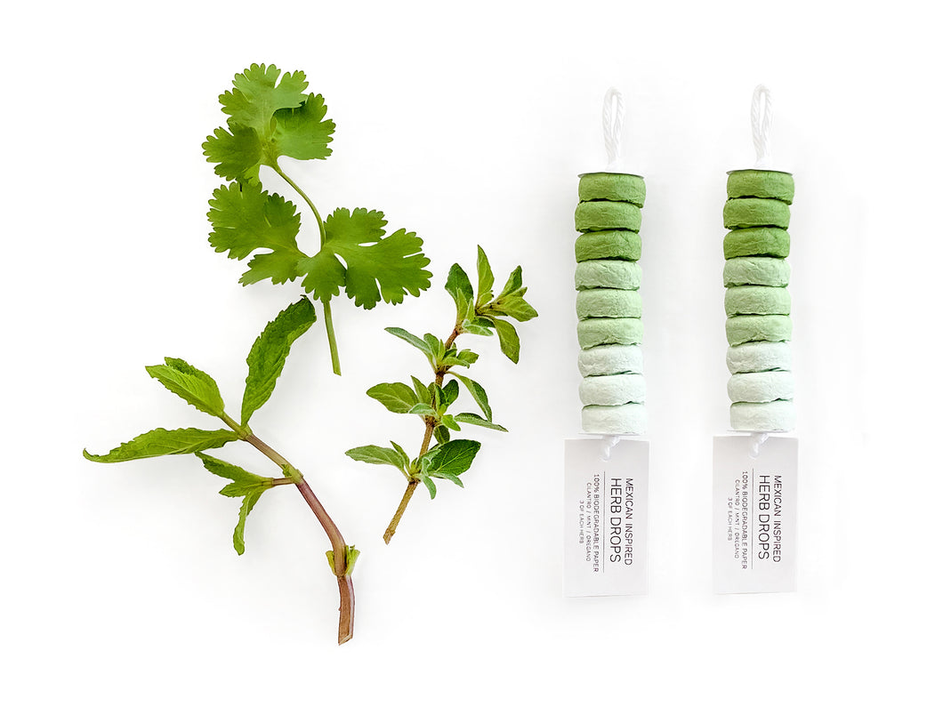 HERB SEED DROPS - MEXICAN