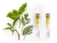 HERB SEED DROPS - MEDITERRANEAN