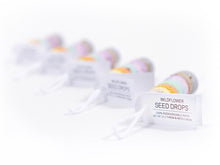 RAINBOW WILDFLOWER SEED DROPS