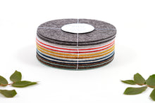 MULTI COLORED FELT TRIVETS 6"
