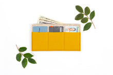 CASH & CARD WALLET