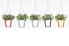 PLANT HANGER