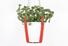 PLANT HANGER