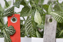 PLANT HANGER