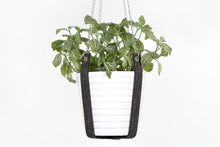 PLANT HANGER
