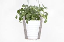 PLANT HANGER