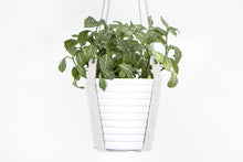 PLANT HANGER
