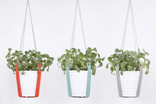 PLANT HANGER
