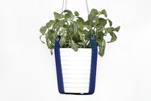 PLANT HANGER