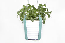 PLANT HANGER