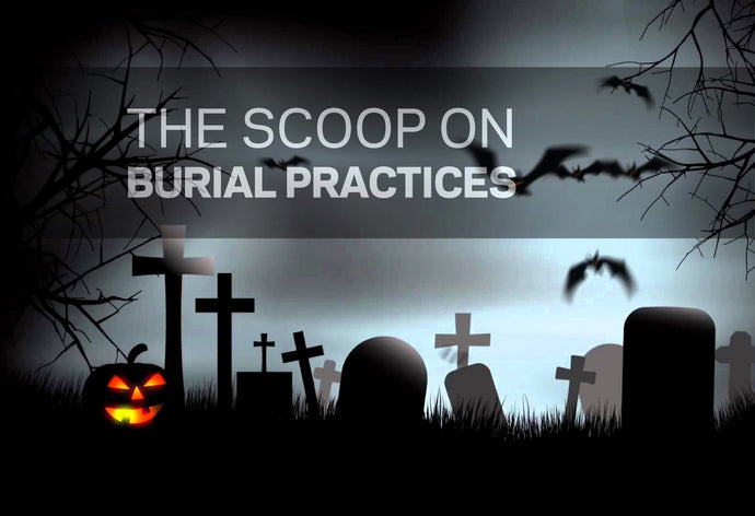 BURIAL PRACTICES - TED TALK