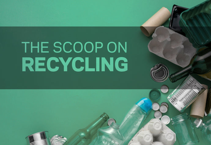 THE MONEY IN RECYCLING