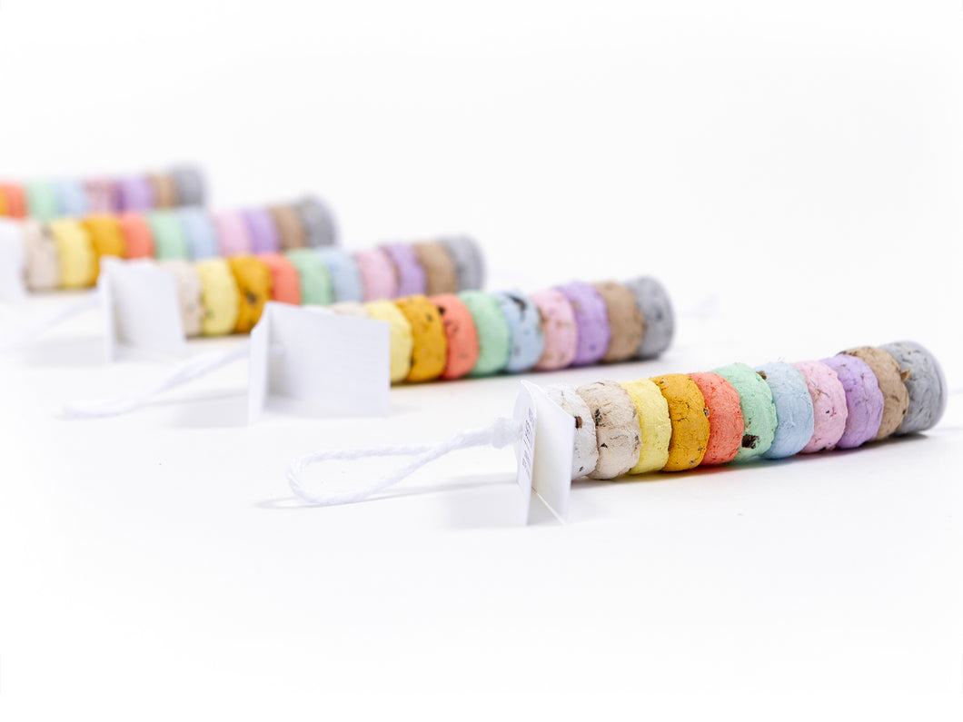 rainbow wildflower seeds RAINBOW WILDFLOWER SEED DROPS – Studio 82°