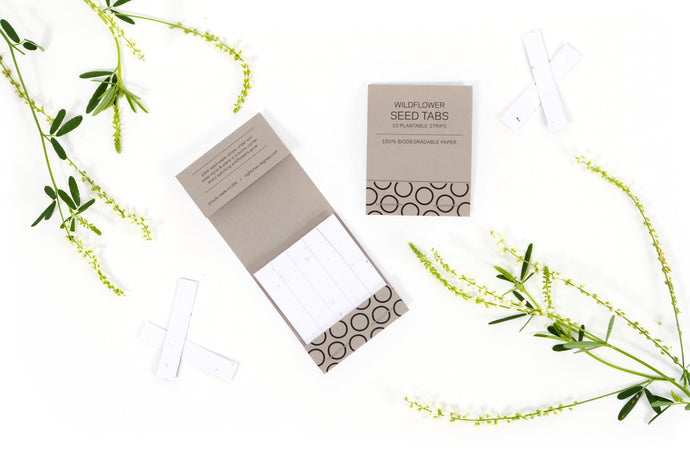  Green Field Blank Craft Seed Paper – Wildflower Tree